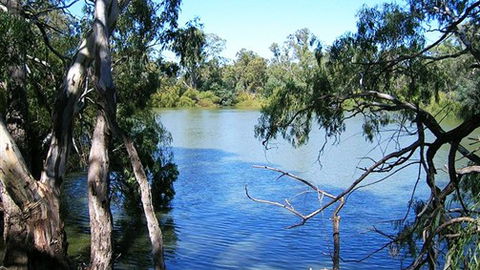 Perricoota Station - Queensland Tourism 4