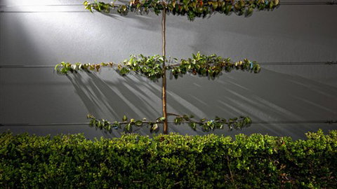 Toscano, Milano & Veneto On Olive - QLD Tourism 5