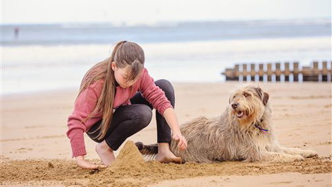 Front Beach Torquay Beach Houses - QLD Tourism 4
