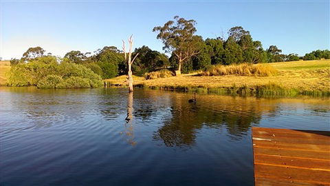 Cygnet Park Country Retreat - QLD Tourism 4