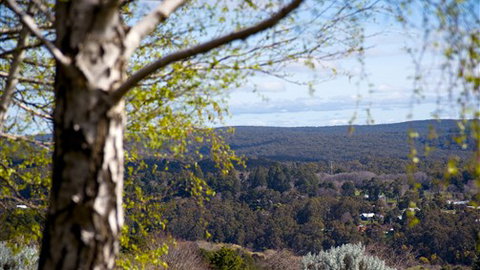 Hilltop Cottage - Daylesford - Queensland Tourism 5