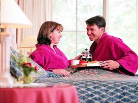 Adelaide Hills Country Cottages - The Villa - QLD Tourism 1