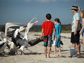 Malibu Lodge - QLD Tourism 3