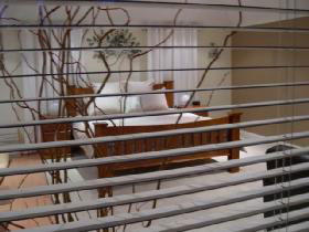 One Tree Bed And Breakfast - QLD Tourism 0