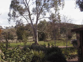 Settlers Cottage - QLD Tourism 0