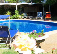 Aarinda Holiday Apartments - QLD Tourism