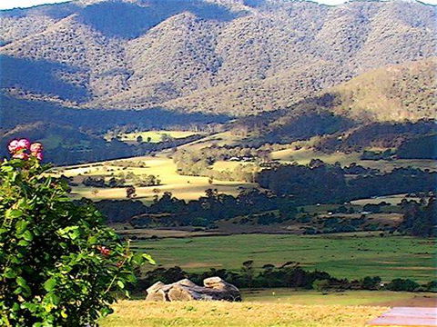 Allamar Motor Inn - Queensland Tourism 1