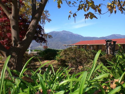 Allamar Motor Inn - Queensland Tourism 3