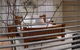 One Tree Bed And Breakfast - thumb 4