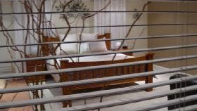 One Tree Bed And Breakfast - QLD Tourism 4