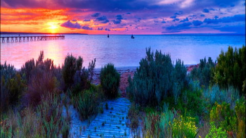 Marion Bay Caravan Park - QLD Tourism 1