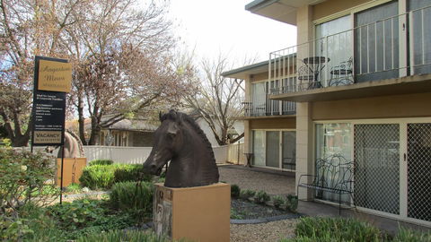 Angaston Mews Apartments - QLD Tourism 13