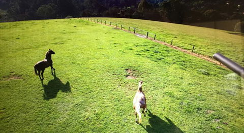 Farm Accommodation - QLD Tourism 8