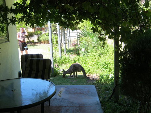 Tim's Place - Queensland Tourism 2