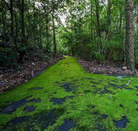 Booderee National Park Green Patch Camping Area - QLD Tourism
