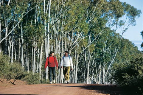 Congelin Camp At Dryandra Woodland - Queensland Tourism 0