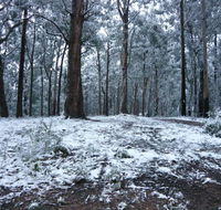 High Peaks Cottages - QLD Tourism
