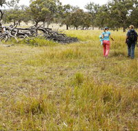 Carnarvon National Park camping - Queensland Tourism