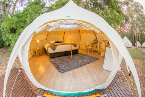 Yarra Valley Park Lane Glamping Belle Tents - QLD Tourism 8