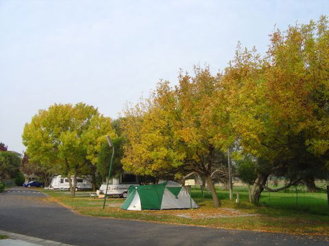 BIG4 Dandenong Tourist Park - Queensland Tourism 2