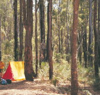 Nanga Mill Camp at Lane Poole Reserve - QLD Tourism
