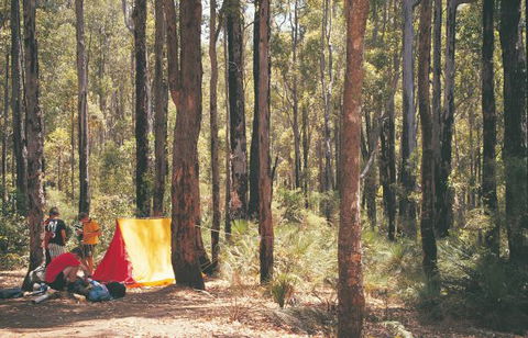 Nanga Mill Camp At Lane Poole Reserve - Queensland Tourism 0