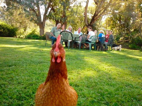 Baranduda Homestead B&B Cottages - QLD Tourism 9