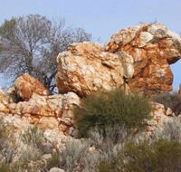 Credo Homestead Camp at Credo Conservation Park - QLD Tourism