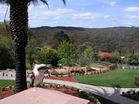 Grange Bellinzona - QLD Tourism 4