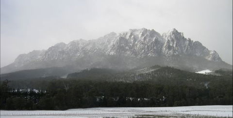 55 Acres Retreat - QLD Tourism 4