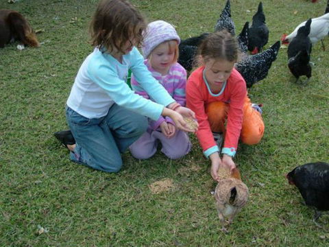 Bower Retreat - Queensland Tourism 6