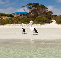 Kangaroo Island Star Beach House - QLD Tourism