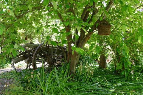 Willowbrook Heritage Bed & Breakfast - QLD Tourism 7