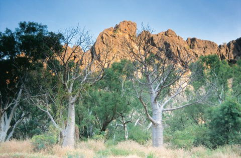 Windjana Gorge Camp At Windjana Gorge National Park - Queensland Tourism 1