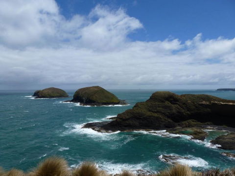 Arties Cottage Accommodation - QLD Tourism 9