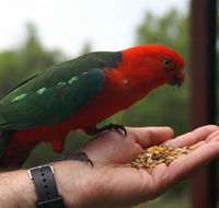 Barrington Tops Escapes - Queensland Tourism