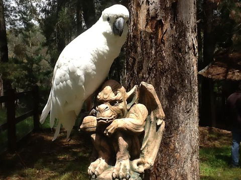 Beechworth Wildlife Stays - QLD Tourism 9