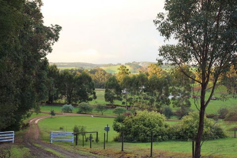 Blue House Bed And Breakfast - QLD Tourism 1