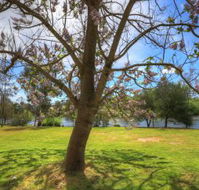 Breakaway Twin Rivers Caravan Park - QLD Tourism