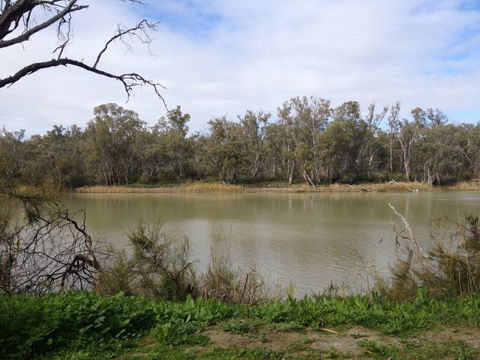Chowilla Station Shearer's Quarters Accommodation - Queensland Tourism 1