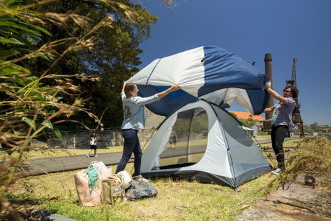 Cockatoo Island Camping - QLD Tourism 6