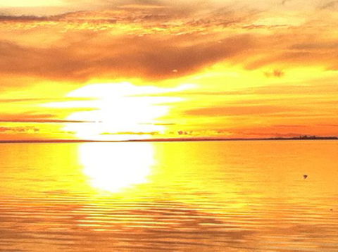 Dalton On The Lake - QLD Tourism 3