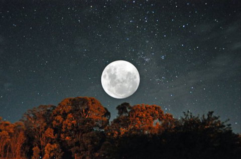 Granite Belt Brewery Retreat - QLD Tourism 9