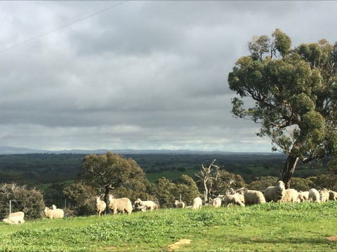 Heathcote Views Bed & Breakfast - Queensland Tourism 5