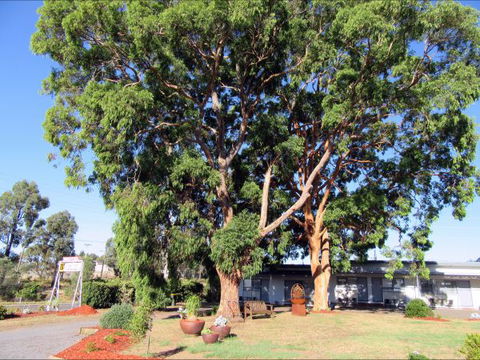 Highlander Haven Motel - Queensland Tourism 3