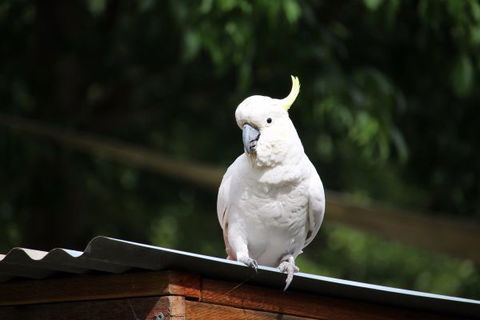 Jamieson Caravan Park - Queensland Tourism 2