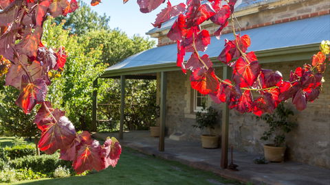 Grand Cru Estate Homestead - QLD Tourism 0