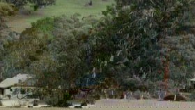 Wuthering Heights - Glen Morris Cottage - QLD Tourism 0