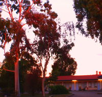 Murray Bridge Central Olympic Motel and Cottages - Queensland Tourism