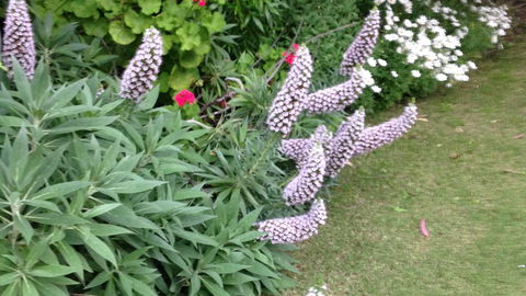 Padthaway Caravan Park - Queensland Tourism 0